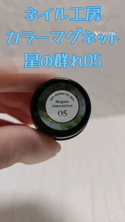 マグネットジェル/ネイル工房/ジェルネイルの人気ショート動画