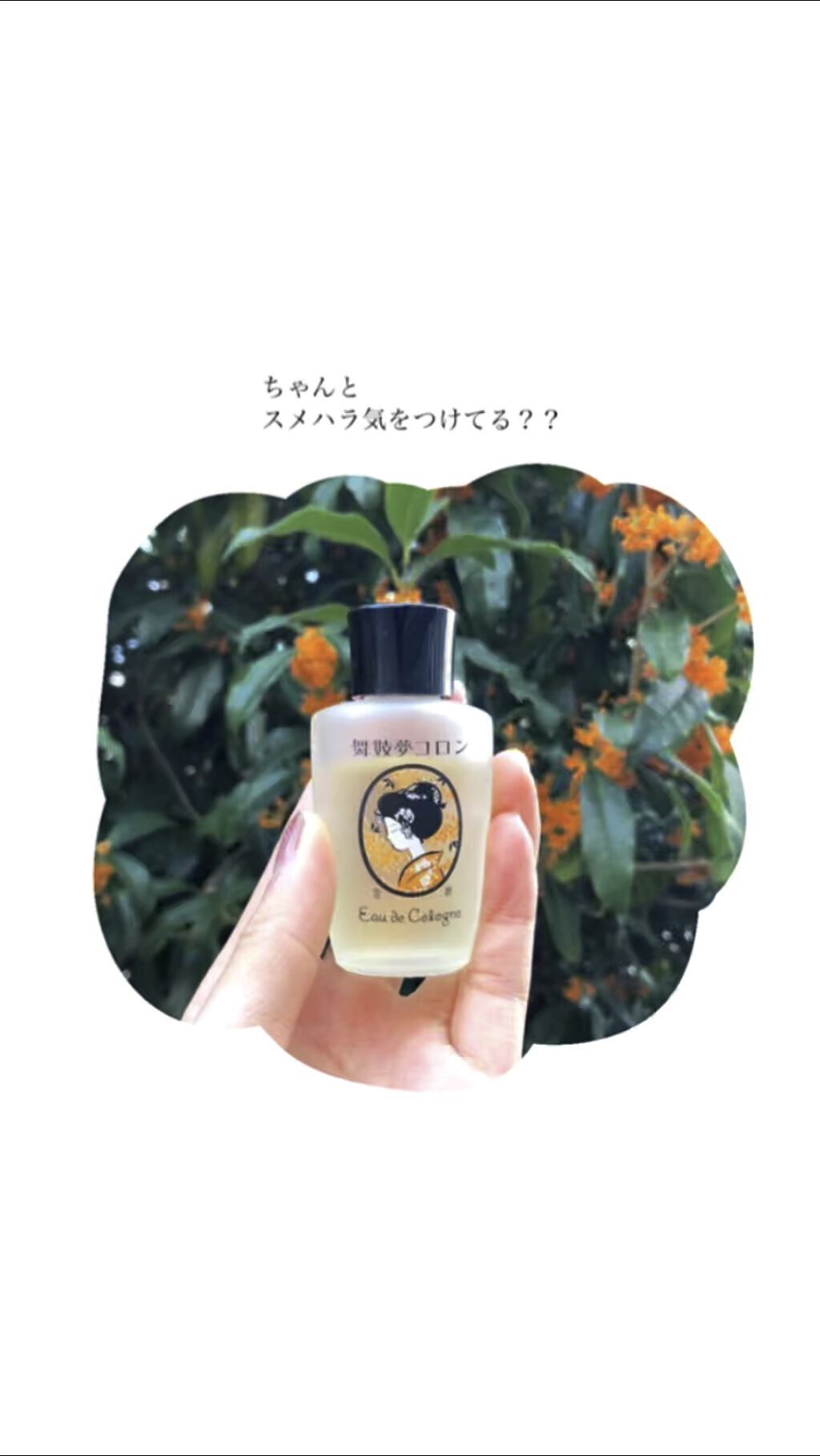 舞妓夢コロン/京都舞妓コスメ/香水(レディース)を使ったクチコミ（1枚目）