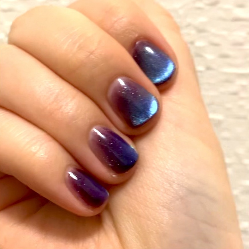 アニマルマグネットジェル/ネイル工房/ジェルネイルの動画クチコミ1つ目