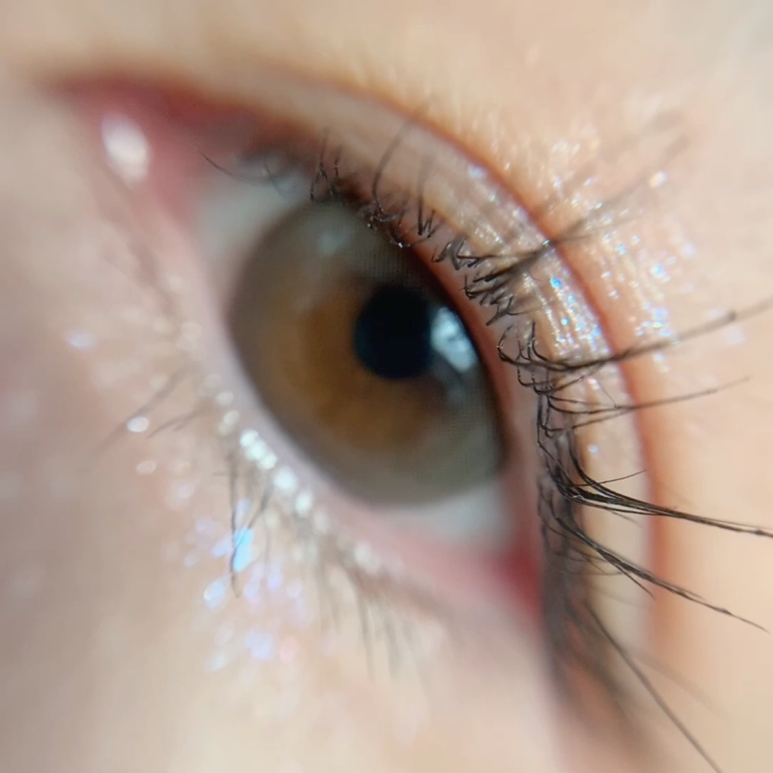 Moodnight 1day/OLENS/ワンデー（１DAY）カラコンの動画クチコミ4つ目