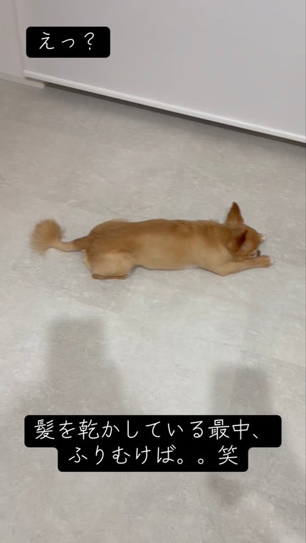 PDRNバクチオールセラム/ONE THING/美容液を使ったクチコミ(6枚目)