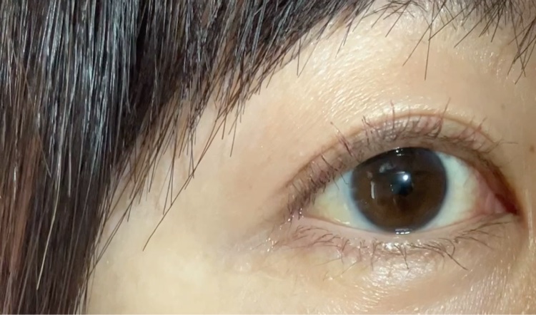 MAJOLICA MAJORCA ラッシュエキスパンダー ロングロングロング ＥＸ （フローティング）のクチコミ「普段カラーマスカラは使わないんですけど、ホリデーシーズンだし浜辺美波ちゃんの美しさにも魅了され.....」（2枚目）