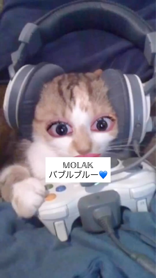 MOLAK 1day/MOLAK/ワンデー（１DAY）カラコンの動画クチコミ5つ目
