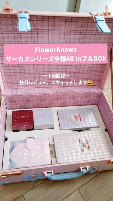 サーカスシリーズ グラデーションブラッシュ /FlowerKnows/パウダーチークの人気ショート動画