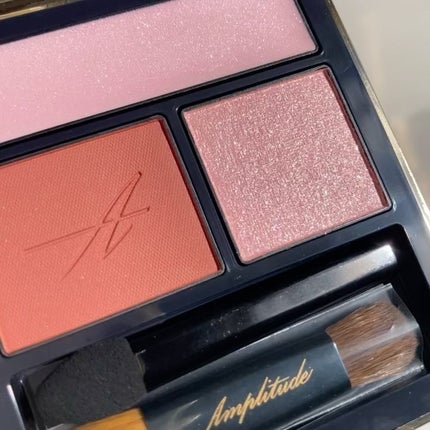 コンスピキュアス アイズ/Amplitude/アイシャドウパレットを使ったクチコミ(3枚目)