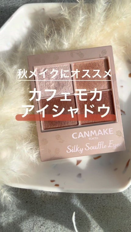 シルキースフレアイズ(マットタイプ)/キャンメイク/アイシャドウパレットの人気ショート動画