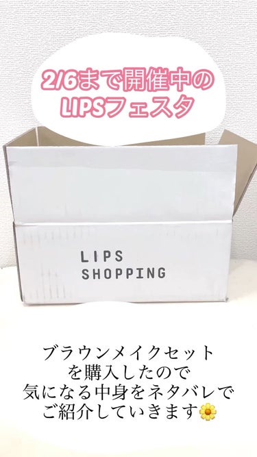 ブラウンメイクセット  LIPSフェスタ Winter 2023/LIPS/メイクアップキットを使ったクチコミ（1枚目）