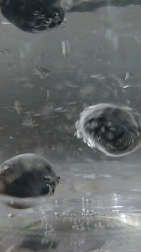 Eyepa/Eyepa/健康サプリメントの動画クチコミ4つ目