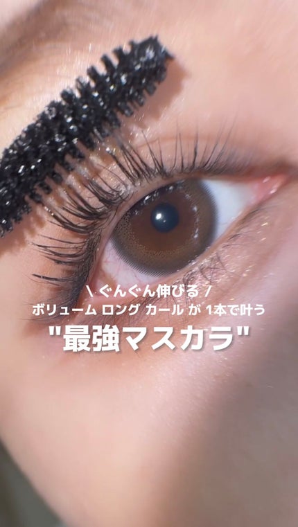 CGパーフェクトラッシュカラ/BLACK ROUGE/マスカラの人気ショート動画