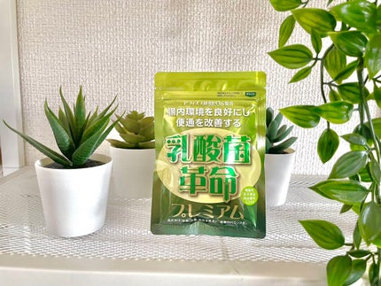 乳酸菌革命プレミアム/健康いきいき倶楽部/健康サプリメントの人気ショート動画