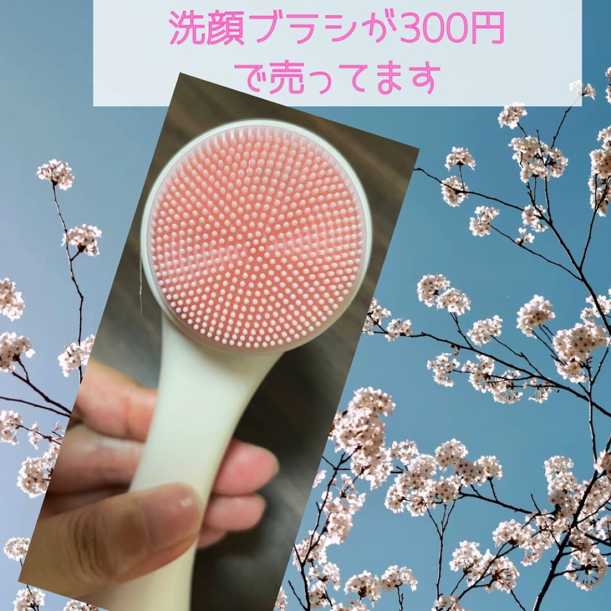 ごくやわ洗顔ブラシ  角質・黒ずみ大掃除/DAISO/その他スキンケアグッズの動画クチコミ1つ目