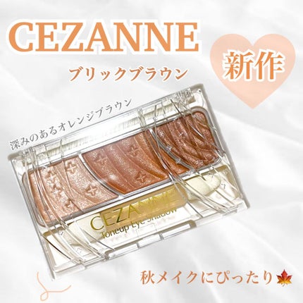 トーンアップアイシャドウ/CEZANNE/アイシャドウパレットを使ったクチコミ(1枚目)