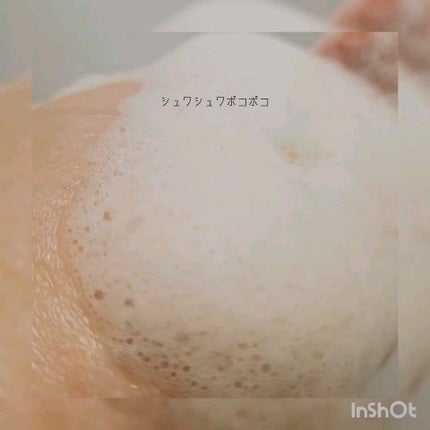 グリーンティー&エンザイムパウダーウォッシュ/By Wishtrend/洗顔パウダーを使ったクチコミ(4枚目)