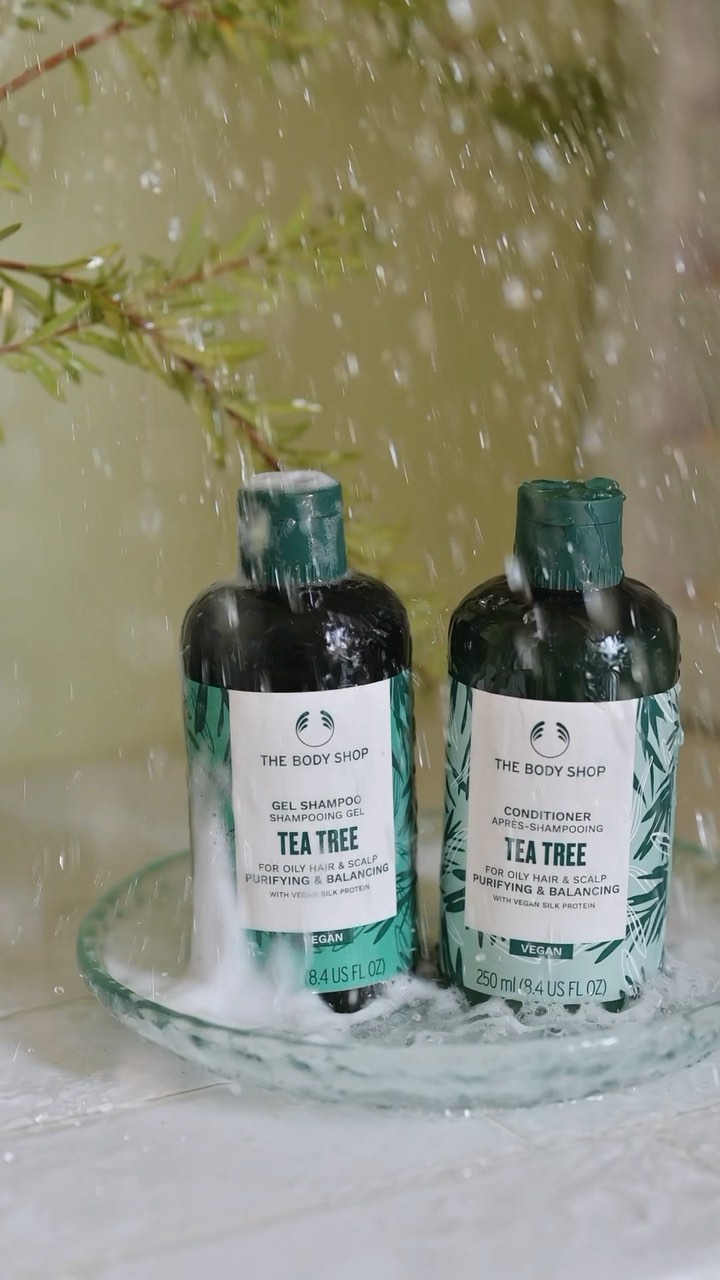 ティーツリー クリア＆バランシング シャンプー/THE BODY SHOP/市販シャンプーを使ったクチコミ（1枚目）