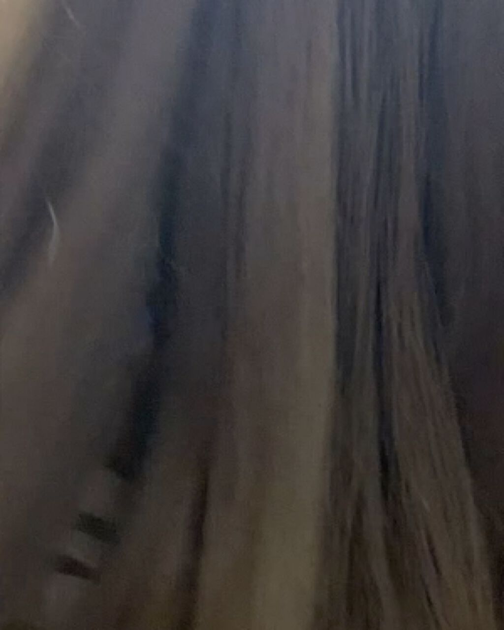 シャンプー／トリートメント ヒートケア  パープル/CALATAS/市販シャンプーを使ったクチコミ（2枚目）