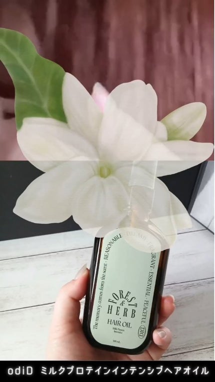 ミルクプロテインインテンシブヘアオイル/odiD/ヘアオイルの人気ショート動画