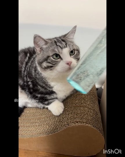 サミュ ガラクトポア オーツートナー/SAM'U/化粧水の人気ショート動画