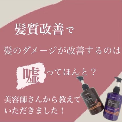 ハニー&マカデミアシャンプー/トリートメント /KUNDAL/シャンプー・コンディショナーの人気ショート動画