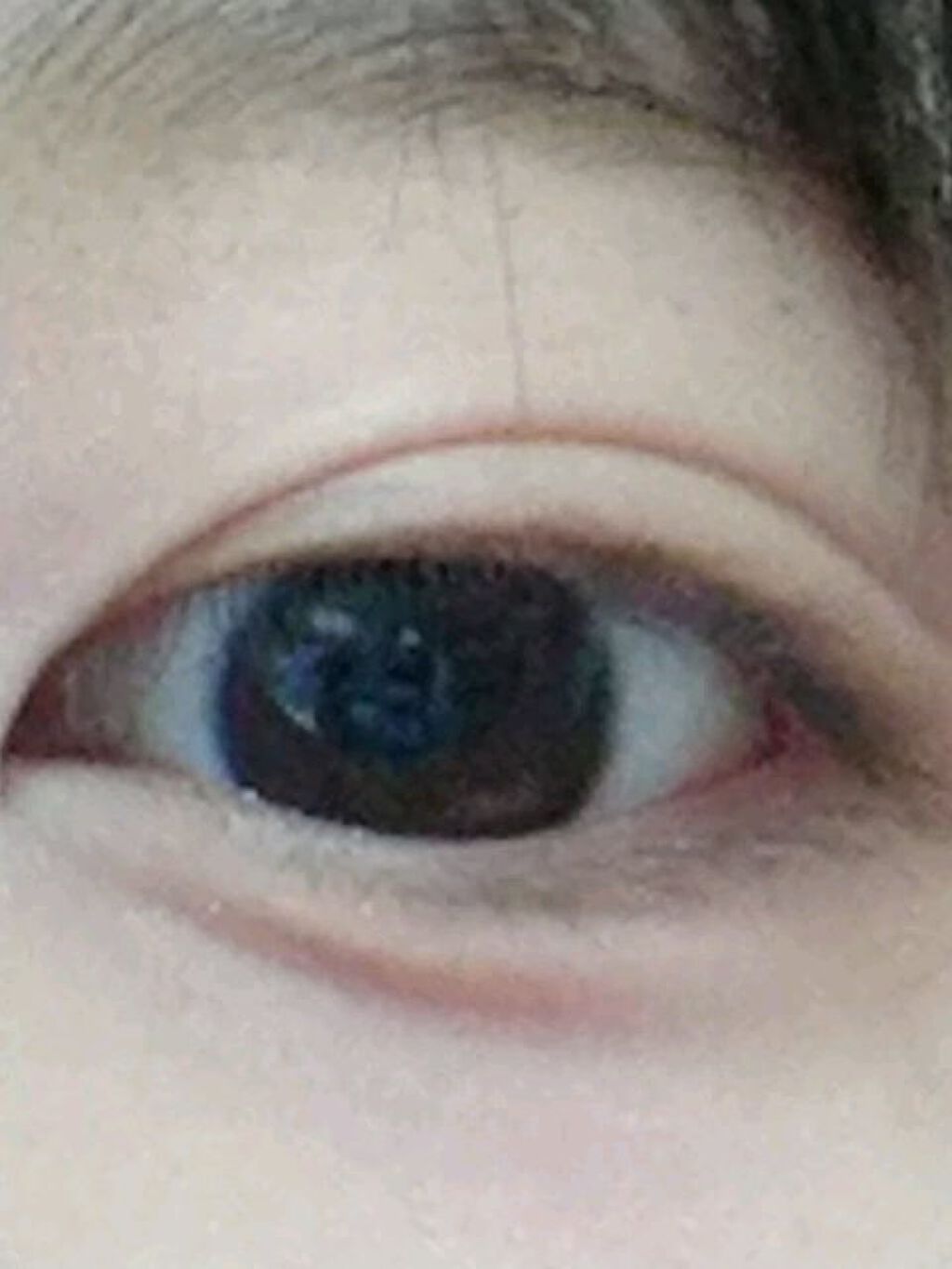 アイラッシュカーラー/SHISEIDO/ビューラーを使ったクチコミ（3枚目）