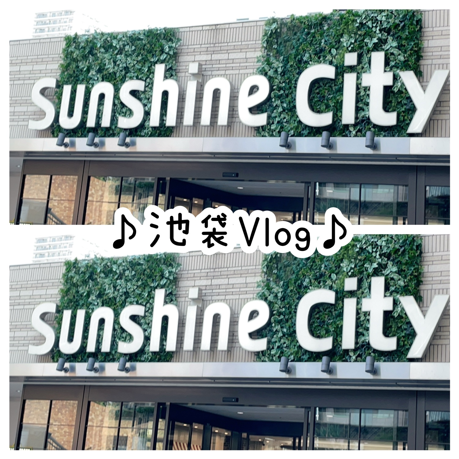 ハンオールシェードライナー/rom&nd/ペンシルアイライナーの人気ショート動画