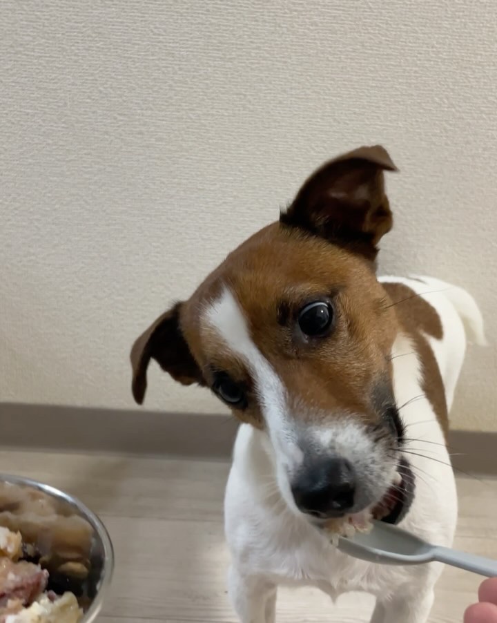 天然鹿肉セット/メゾンドジビエ/その他食品を使ったクチコミ（2枚目）