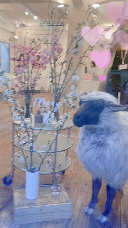 M クッション ファンデーション(モイスチャー)/MISSHA/クッションファンデーションを使ったクチコミ(1枚目)