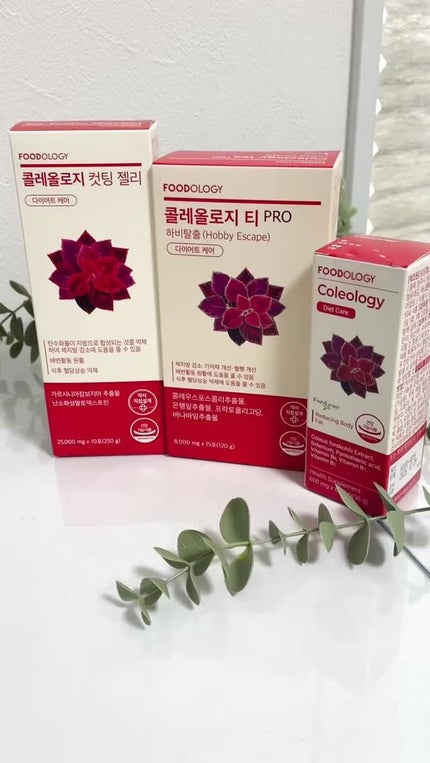 コレオロジーティー/FOODOLOGY/ドリンクの人気ショート動画