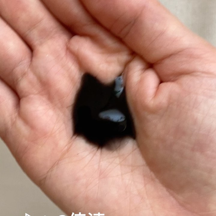 アンジエンド マイクロクレンジングバーム/シーヴァ/クレンジングバームの動画クチコミ1つ目