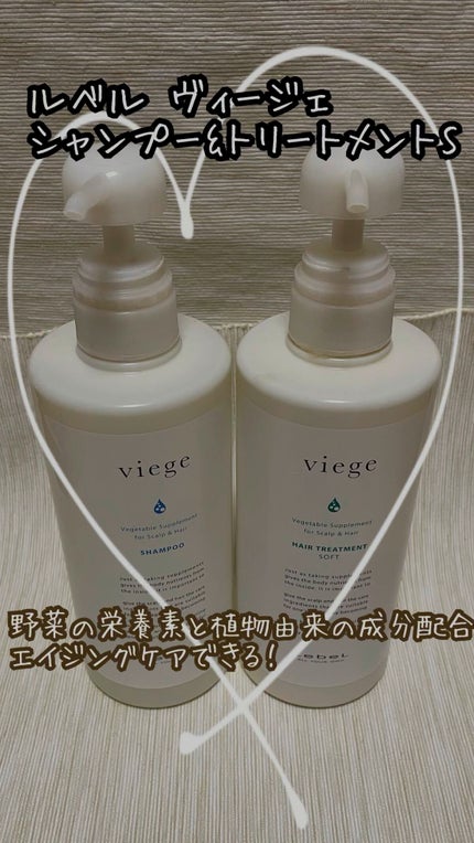 試してみた】LebeL ヴィージェ ヘアトリートメント Sの効果・髪 試してみた】LebeL ヴィージェ ヘアトリートメント Sの効果・髪