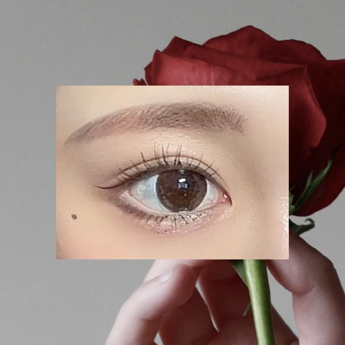 マルチカラーパレット/and:ar/マルチパレットの動画クチコミ2つ目