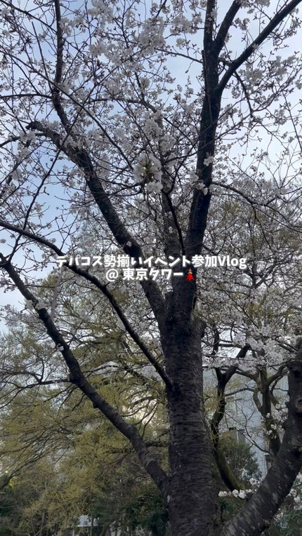 キヌケアグローアップ/shu uemura/口紅の人気ショート動画