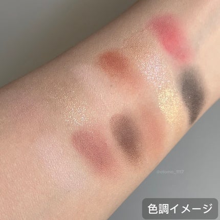 エクスプローラ12色 動物アイシャドウパレット/PERFECT DIARY/アイシャドウパレットを使ったクチコミ(3枚目)