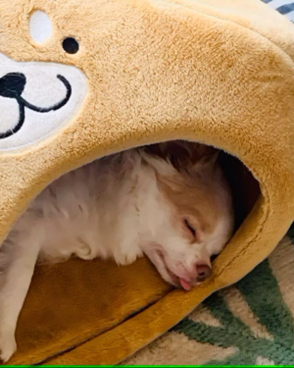 自己紹介/雑談/その他を使ったクチコミ（1枚目）