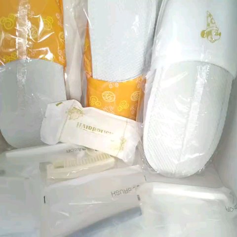 くし/東京ディズニーランドホテル/ヘアブラシを使ったクチコミ（1枚目）