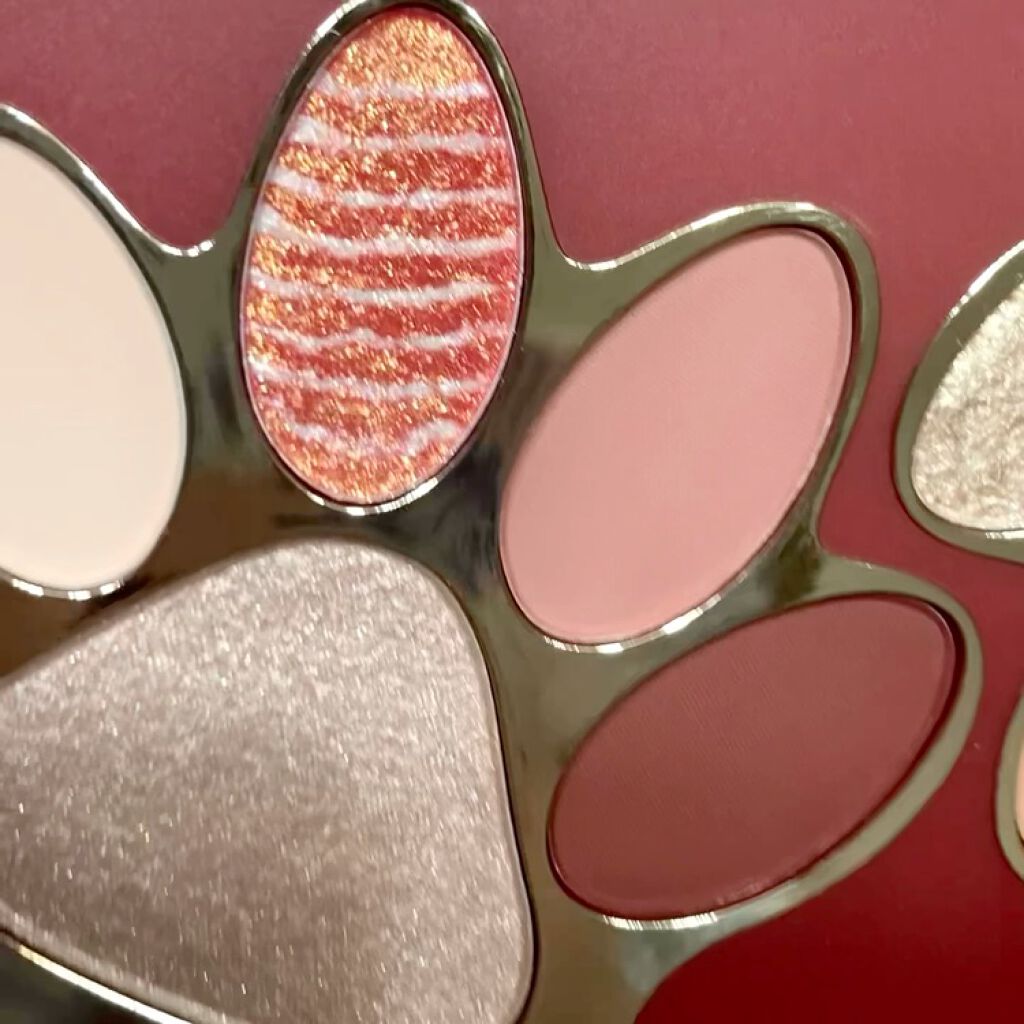 トラ十色アイシャドウパレット/COLORKEY/アイシャドウパレットを使ったクチコミ（3枚目）