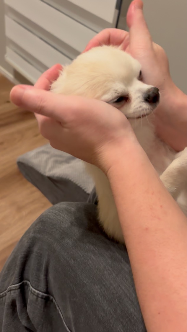 ソレイユ グロー セラム イルミネート/TOM FORD BEAUTY/美容液の動画クチコミ1つ目