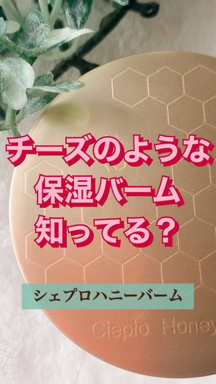 シェプロハニーバーム/Ciepło/フェイスクリームの人気ショート動画