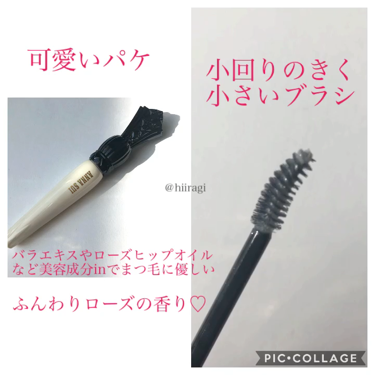 マスカラ プライマー ＆ トップ コート/ANNA SUI/マスカラ下地・トップコートを使ったクチコミ（2枚目）