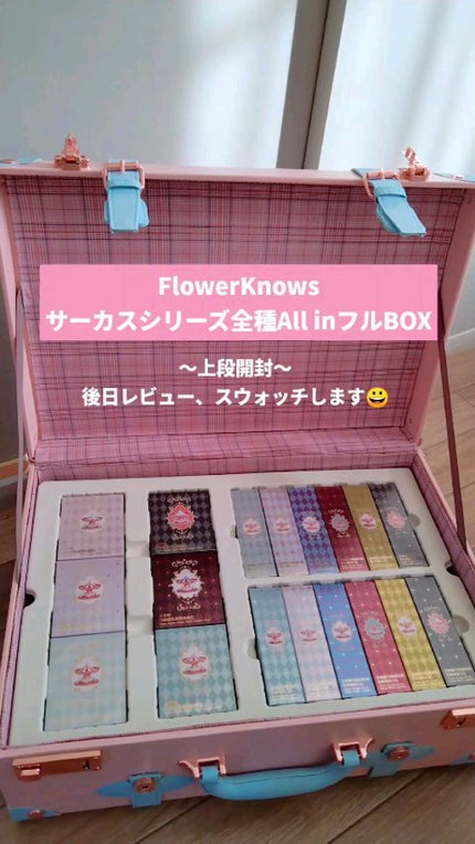 サーカスシリーズ グラデーションブラッシュ /FlowerKnows/パウダーチークの人気ショート動画