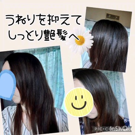 ルース ボタニカルスカルプセラム シャンプー・トリートメント(ストレート)/BOTANIST/市販シャンプーの人気ショート動画