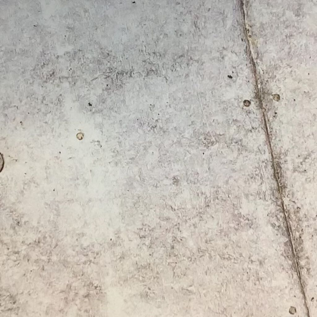 R&Aヘアマスク/john masters organics/ヘアマスク・ヘアパックの動画クチコミ4つ目