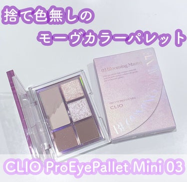 プロ アイパレット ミニ/CLIO/アイシャドウパレットを使ったクチコミ（1枚目）