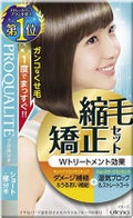 縮毛矯正セット(ショート・部分用) / プロカリテ