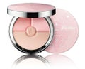 GUERLAIN メテオリット ハート シェイプ