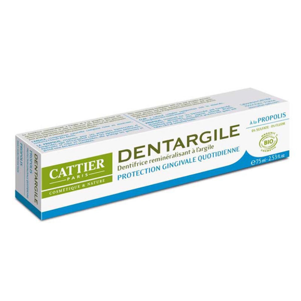 カティエ デントアルジル PP