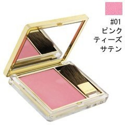 ESTEE LAUDER ピュア カラー ブラッシュ