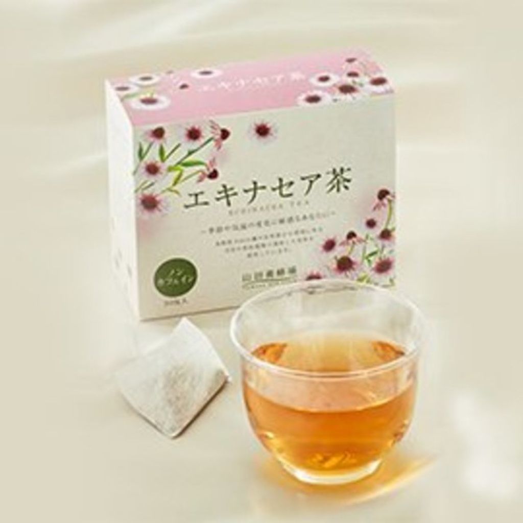 ハーブティーエキナセア茶