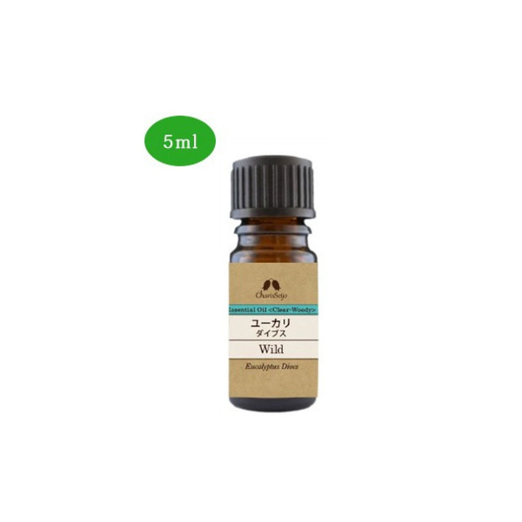 カリス成城 ユーカリ ダイブス