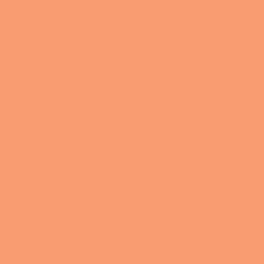 チーク カラー(ブラシ付) 410 オレンジ系ラメ