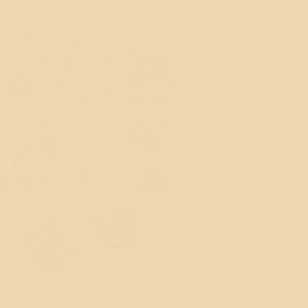 シルキィラスティング パクトUV ベージュB